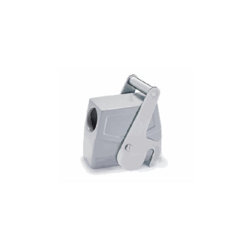 Capot 16B, Aluminium moulé sous pression, acier inoxydable, IP67, Sortie horizontale, PG29